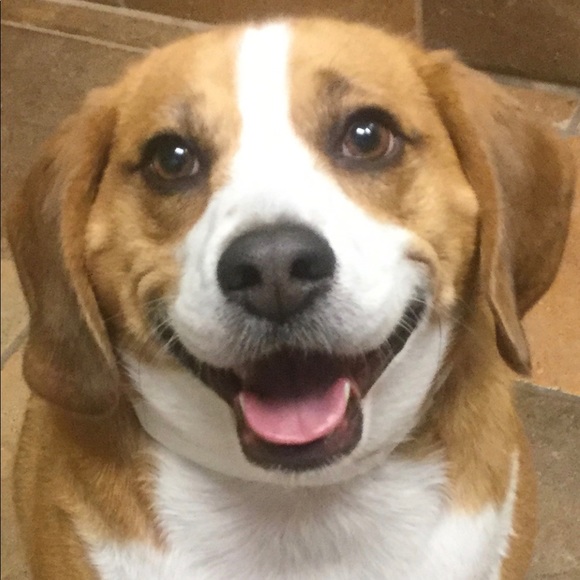 Meet your Posher, Kelly - Picture 1 of 1